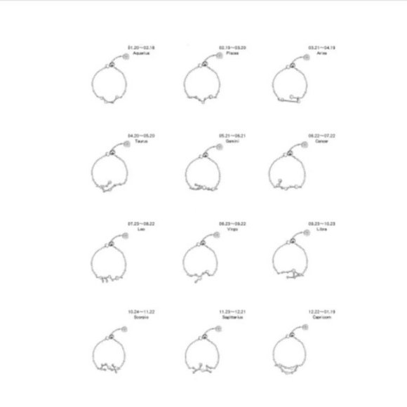 925 Sterling Silver Zodiac Resizable Ring-Pisces - Picture 7 of 7